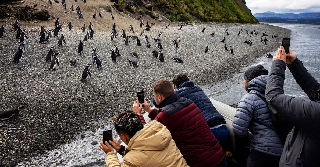 In Argentina, a Boom in Antarctic Cruises Is Straining the ‘End of the World’ In Argentina, a Boom in Antarctic Cruises Is Straining the ‘End of the World’