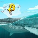 Bitcoin whales absorb 300% of newly mined BTC supply — Is 0K next?