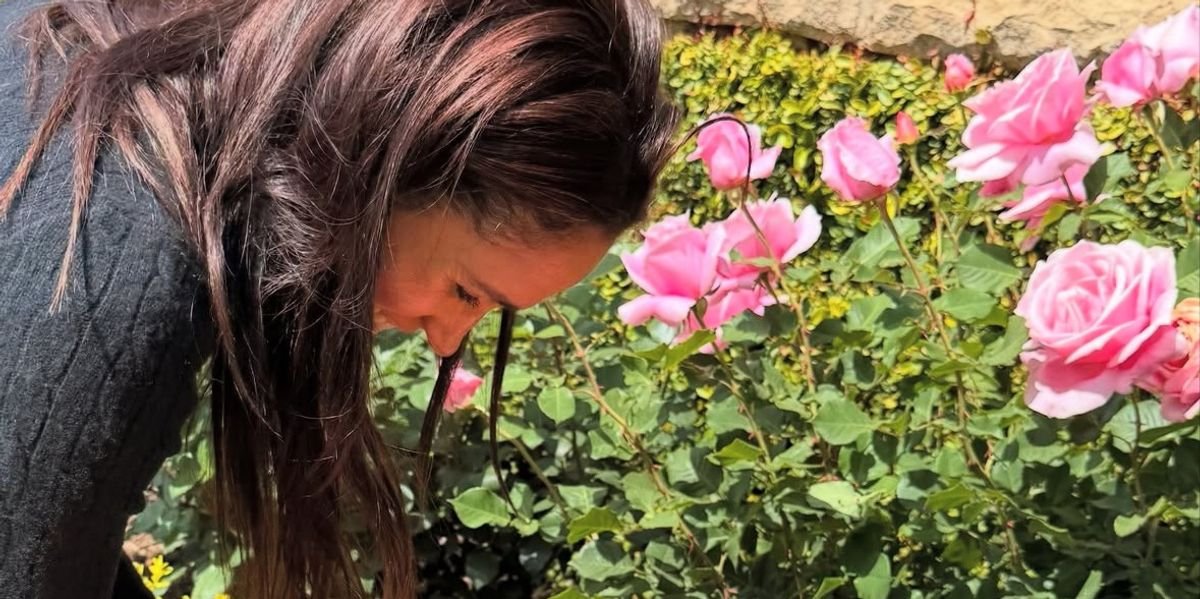 Meghan Markle shares fresh update on Lilibet and Archie as her nickname for young royals revealed Meghan Markle shares fresh update on Lilibet and Archie as her nickname for young royals revealed