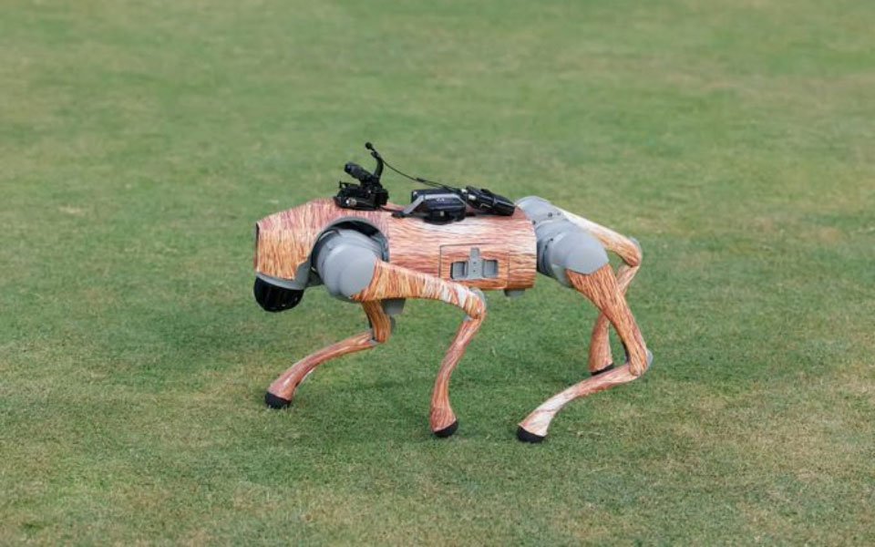 BCCI gets notice from Delhi High Court on changing AI robot’s name BCCI gets notice from Delhi High Court on changing AI robot’s name
