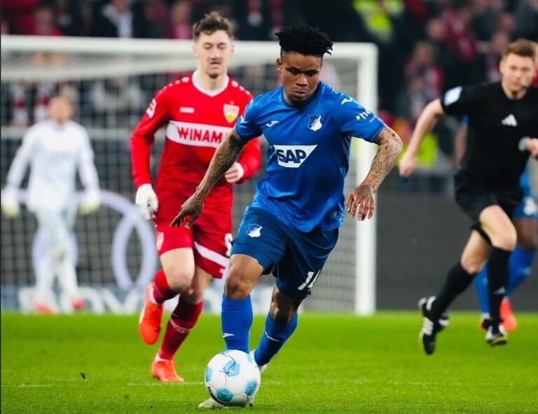 Orban: I Will Work Hard To Help Hoffenheim Escape Relegation