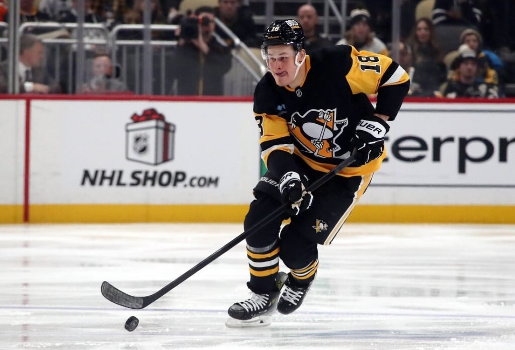 Panthers F Jesse Puljujarvi to have hearing after headshot