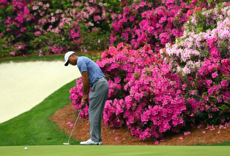 Tiger, Augusta National to team up on nine-hole course, training center