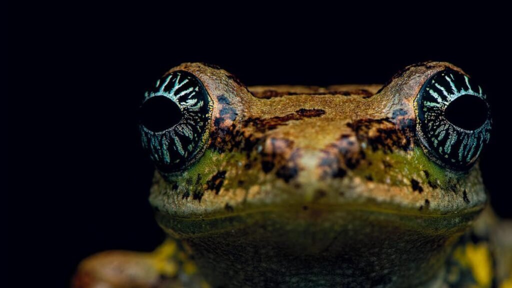The Viewfinder by Sanket Reddy is a call to fall in love with Nature