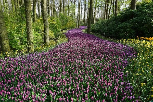 The Most Fertile Day This Year – Anne Ortelee Astrology The Most Fertile Day This Year – Anne Ortelee Astrology