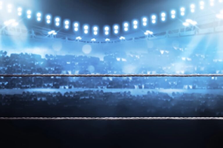 Fight Breakdown, Date & What to Expect