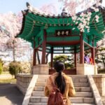 The best ways to travel to South Korea with points and miles
