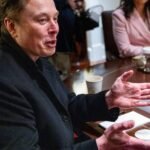 The IRS interim commissioner was just ousted after Scott Bessent reportedly fussed to Trump that Elon Musk installed the leader behind his back