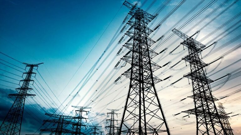 Ensure adequate manpower to avoid project delays: TNERC