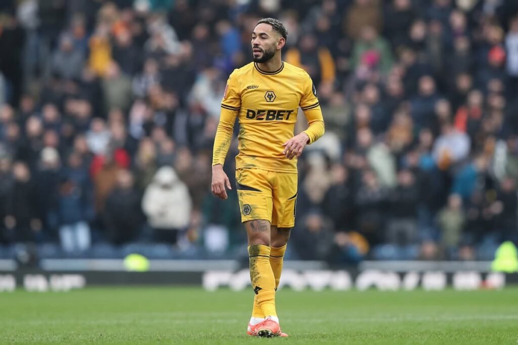 Top 10 Moments in a Wolves Shirt