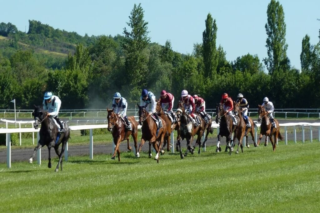 Willie Mullins Dominates Aintree Grand National 2025