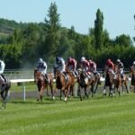 Willie Mullins Dominates Aintree Grand National 2025