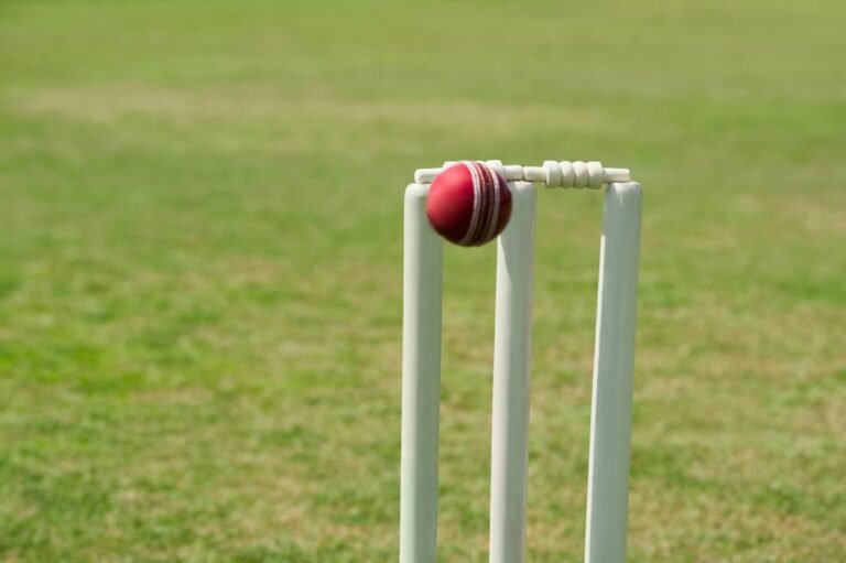 IPL’s Role in Redefining Cricket Stereotypes