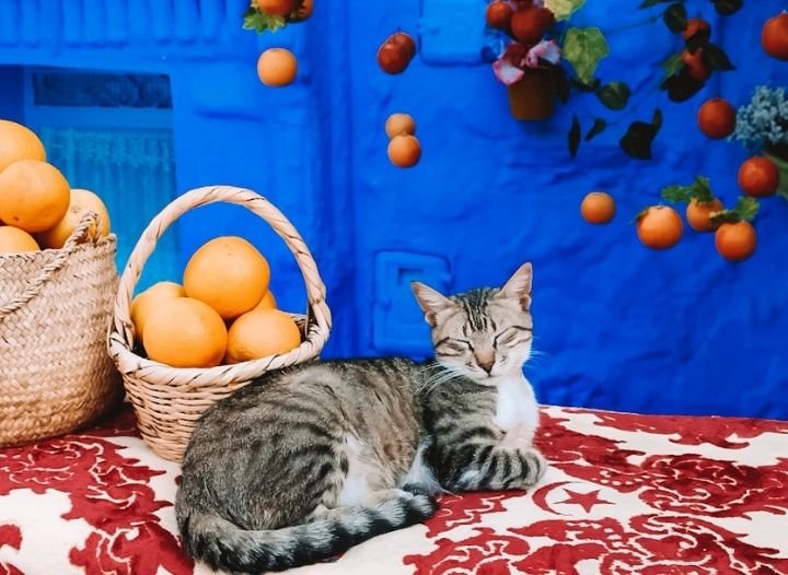 The Most Instagrammable Photo Spots in Chefchaouen