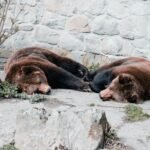 Expert Analyst Warns BITCOIN/VIX Is Not Bullish, These Are Bear Market Signals