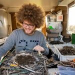 This bird’s nest is made of candy wrappers and face masks. Here’s what we can learn
