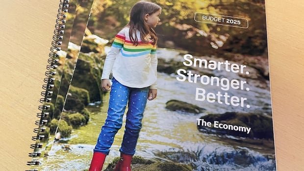 N.L. tables stay-the-course budget with projected 2M deficit and record spending
