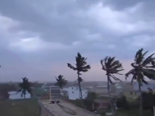 IMD Weather Update; | देश के 15 राज्यों में बारिश और तूफान का अनुमान: MP-यूपी और बिहार के 95 जिलों में अलर्ट; राजस्थान में बिजली-आंधी से 2 लोगों की मौत IMD Weather Update; | देश के 15 राज्यों में बारिश और तूफान का अनुमान: MP-यूपी और बिहार के 95 जिलों में अलर्ट; राजस्थान में बिजली-आंधी से 2 लोगों की मौत