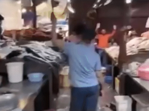 delhi fish shop controversy cr park video Mahua Moitra bjp | दिल्ली में BJP कार्यकर्ता मछली की दुकानें बंद करवा रहे: महुआ मोइत्रा का दावा- दुकानदारों का धमकाया जा रहा; BJP बोली- सामुदायिक एकता बिगाड़ने की कोशिश