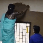 DU principal plastered classroom with cow dung | डीयू प्रिंसिपल ने क्लास रुम में गोबर का लेप लगाया: कहा- यह रिसर्च प्रोजेक्ट का हिस्सा, कमरे को ठंडा रखने के लिए देसी तरीका अपना रहे
