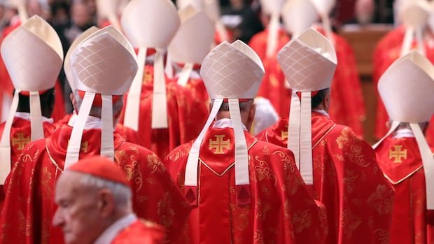Ahead of conclave, cardinals to meet at Vatican for Pope Francis funeral preparations Ahead of conclave, cardinals to meet at Vatican for Pope Francis funeral preparations