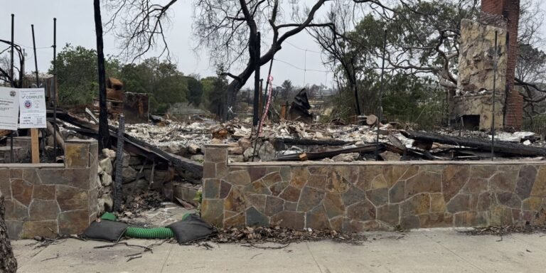 A Palisades resident purchased a million-dollar burned lot for his daughter while he rebuilds too