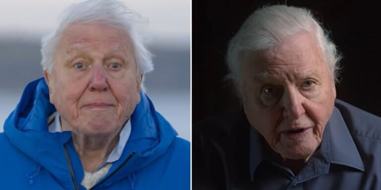 David Attenborough, 98, makes harrowing prediction about future ahead of landmark milestone: ‘Out of time’