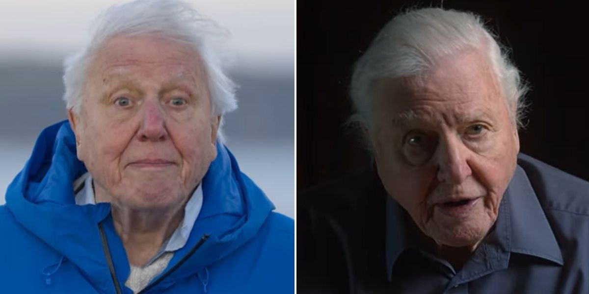 David Attenborough, 98, makes harrowing prediction about future ahead of landmark milestone: ‘Out of time’ David Attenborough, 98, makes harrowing prediction about future ahead of landmark milestone: ‘Out of time’