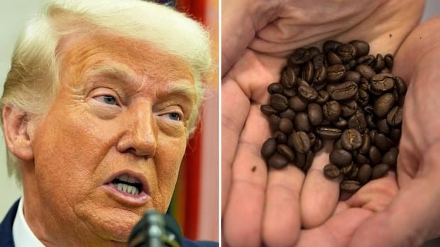 Your morning cup of coffee is about to cost even more — thanks to U.S. tariffs Your morning cup of coffee is about to cost even more — thanks to U.S. tariffs
