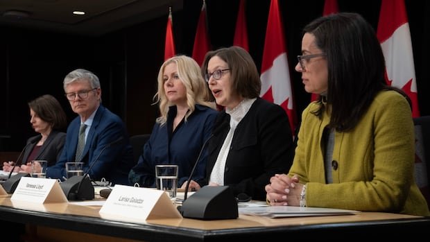 As foreign actors work to influence Canada’s election, how safe is your vote? As foreign actors work to influence Canada’s election, how safe is your vote?