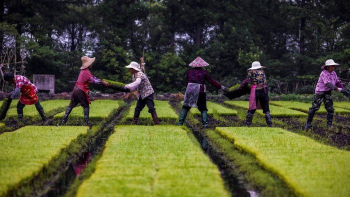 China says it can live without US farm and energy goods China says it can live without US farm and energy goods