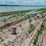 US climate philanthropies fear Trump blow from loss of tax-free status
