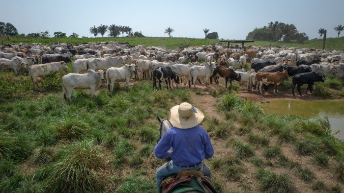 Donald Trump’s China trade war a ‘boon’ for Brazil but sends US farmers reeling