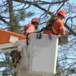 Tens of thousands still without power in Ontario after pair of storms