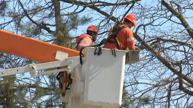 Tens of thousands still without power in Ontario after pair of storms