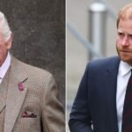 Prince Harry left ‘fragile’ as Duke ‘cannot get through to his family’: ‘Deeply untrustworthy’