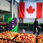 Can Canada grow more of its own food? Greenhouses, vertical farming make it possible, experts say