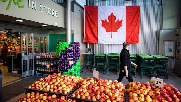 Can Canada grow more of its own food? Greenhouses, vertical farming make it possible, experts say Can Canada grow more of its own food? Greenhouses, vertical farming make it possible, experts say