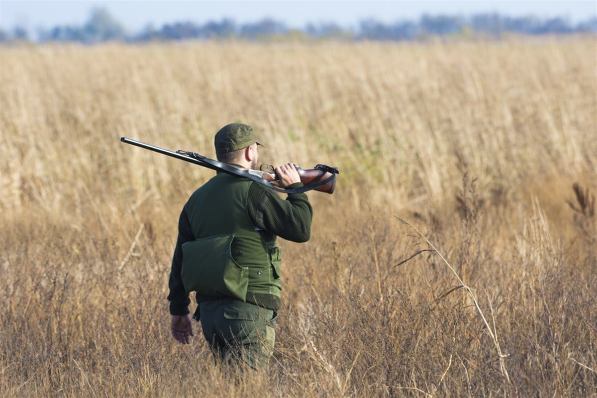 Sportsman’s Warehouse Stock Surges: Buying Opportunity?
