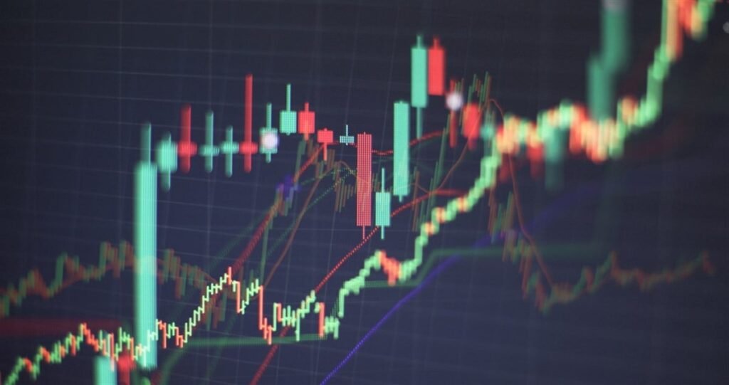 Winners in a Tough 2025 Market