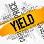 3 Stocks With Massive Shareholder Yields Over the Past Year