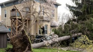 IN PHOTOS | Aftermath of thunderstorms in Ontario, Quebec