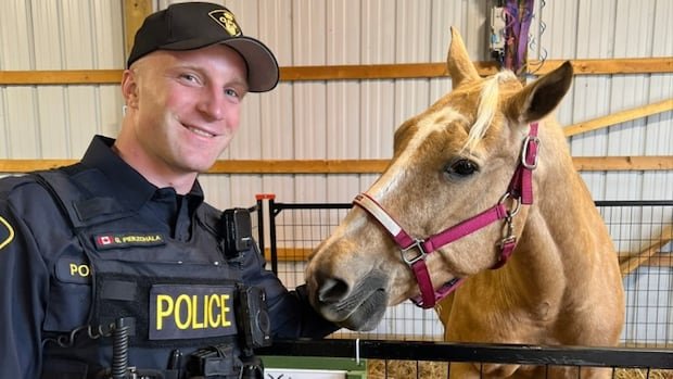 Roadside killing of OPP officer Greg Pierzchala a ‘joint effort,’ Crown tells Cayuga, Ont., trial Roadside killing of OPP officer Greg Pierzchala a ‘joint effort,’ Crown tells Cayuga, Ont., trial