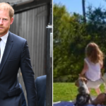Prince Harry ‘cautiously optimistic’ in legal battle to bring Prince Archie and Princess Lilibet safely to UK
