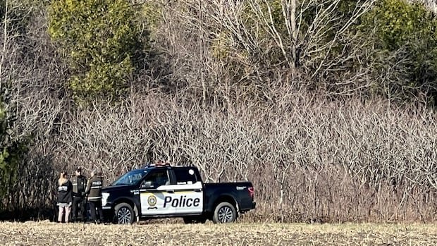 Search underway for woman, 2 young children near Quebec-U.S. border