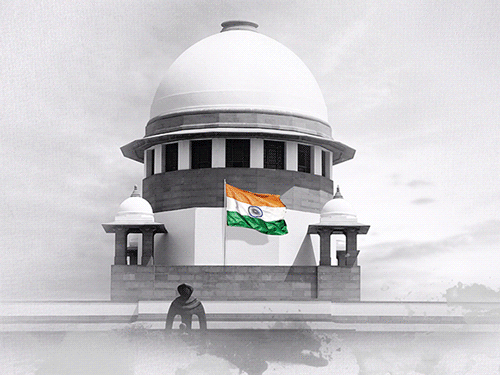 Supreme Court Telangana tree felling University of Hyderabad | सुप्रीम कोर्ट बोला- तेलंगाना में पेड़ कटाई की स्थिति गंभीर: हैदराबाद यूनिवर्सिटी के पास पेड़ कटाई का मामला; छात्र और पुलिस की झड़प हुई थी