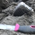 Ancient tooth found near Old Crow, Yukon, belongs to earliest woolly mammoth in North America