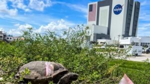NASA faces cuts to rocket program and lunar space station in Trump’s 2026 budget