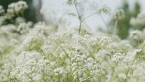 Your allergies are about to get worse