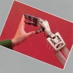 Robotics in Service
